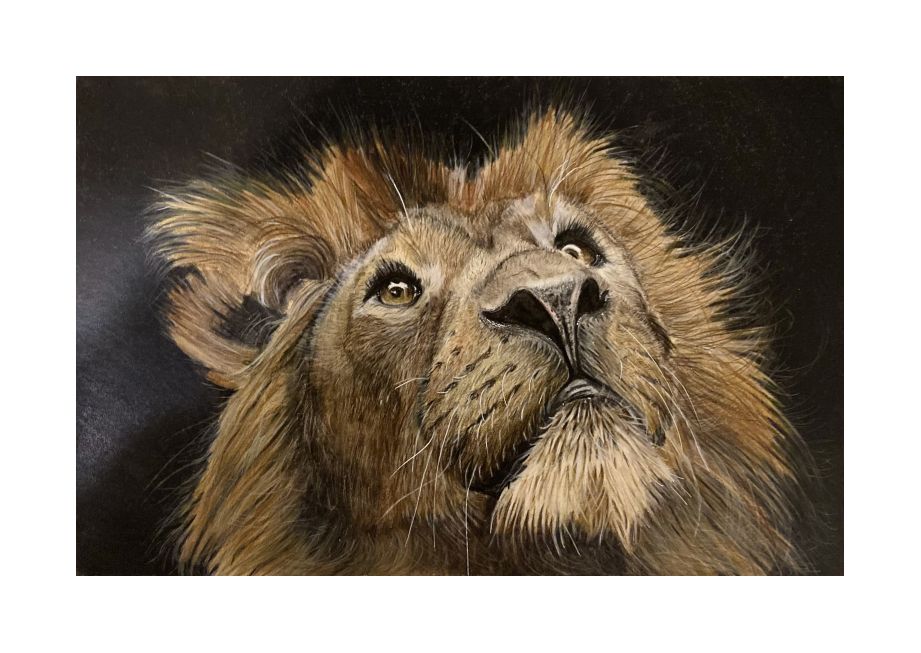 Artwork:Watercolor Pencil Lion